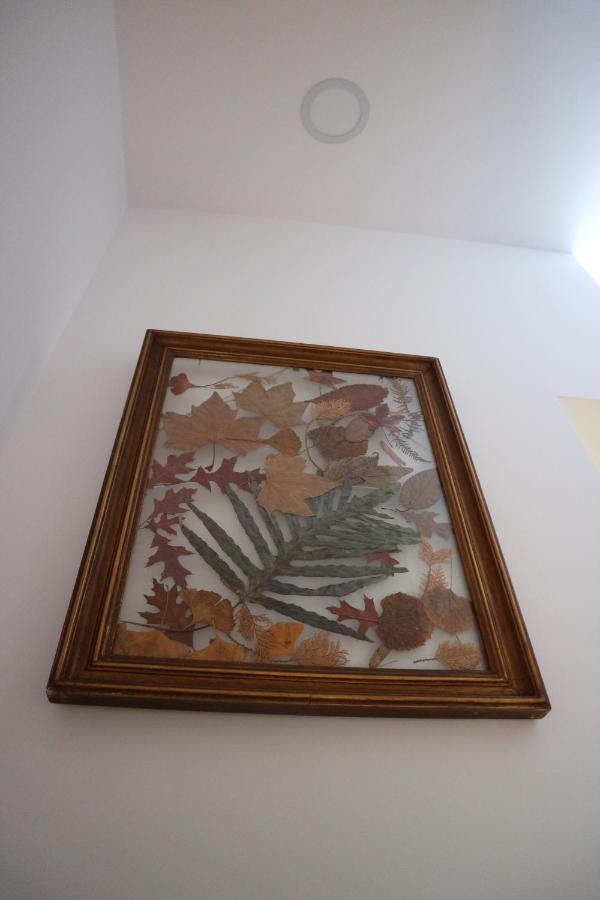 פורטו Casa Das Antas מראה חיצוני תמונה
